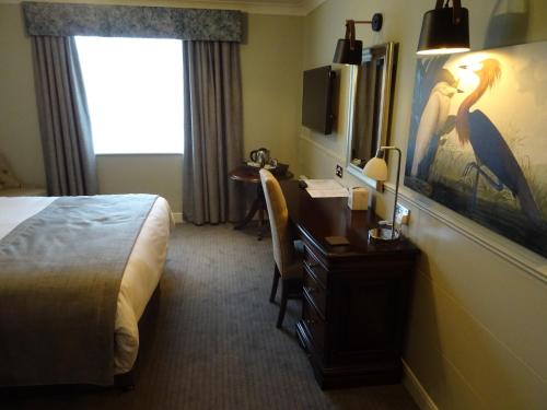 The Belmore - image 2
