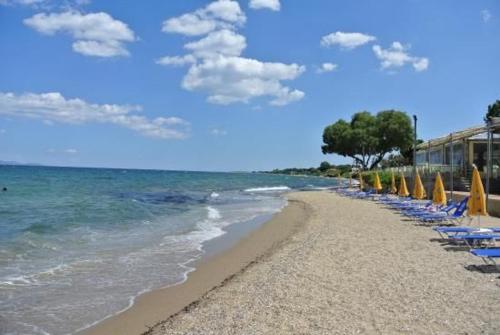 Georges luxury Apartments near Marathon beach and airport