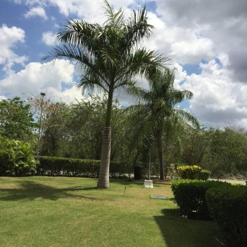 Los Corozos Apartment G1 Guavaberry Golf & Country Club
