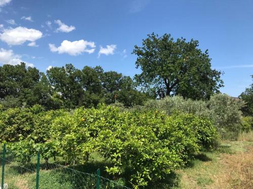 La Finestra Sull'Etna