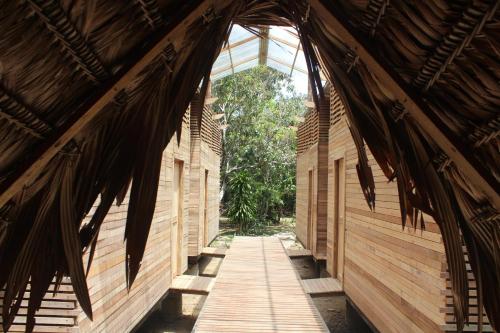 Palmayacu - Refugio Amazónico