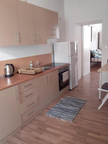 Apartment Alser, Vídeň (fotografie 4)