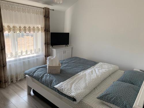 Apartament 23