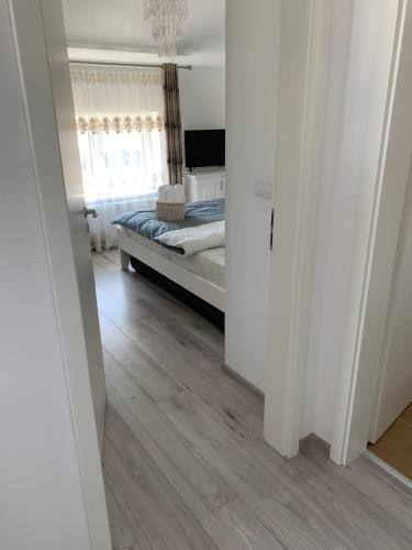 Apartament 23