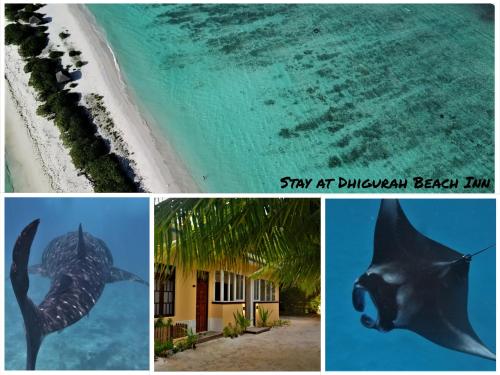 Dhigurah Beach Inn