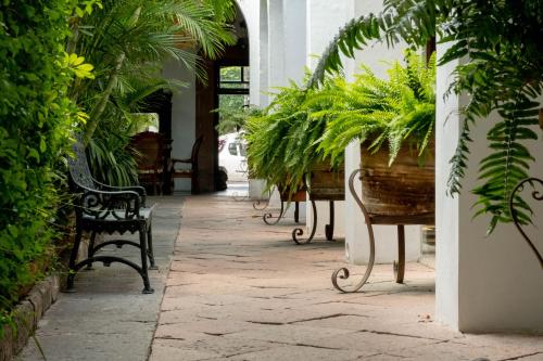 บริการและสิ่งอำนวยความสะดวก, Hotel Layseca in ซาน ฮวน เดล ริโอ