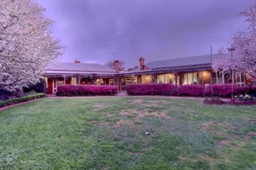 外部景觀, Twelve on Albert in 巴克威