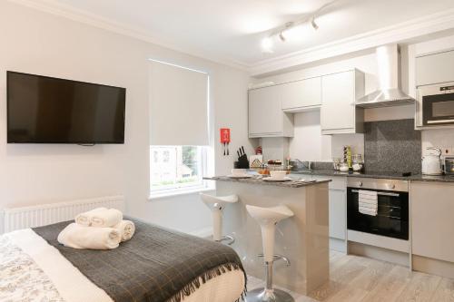 Berkshire Apartment 11Helena House LUX Studio Apartment