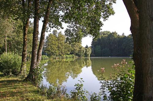 Ferienwohnungen Haus Fernblick