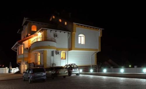 Vila Muntenia Hotel - image 10