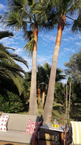 Ses Rotes Velles - Petit Hotel - image 7