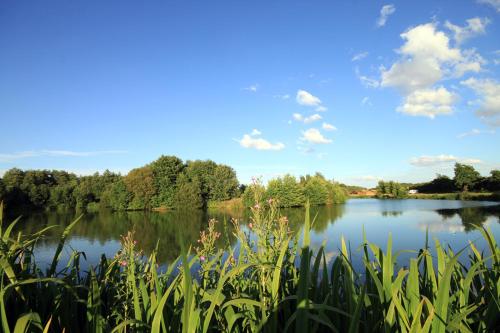 Brook Meadow - image 6