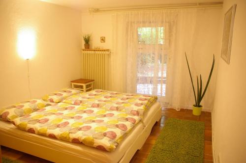 Ferienwohnung Fesenfeld Bremen Steintorviertel, Бремен (фото 4)