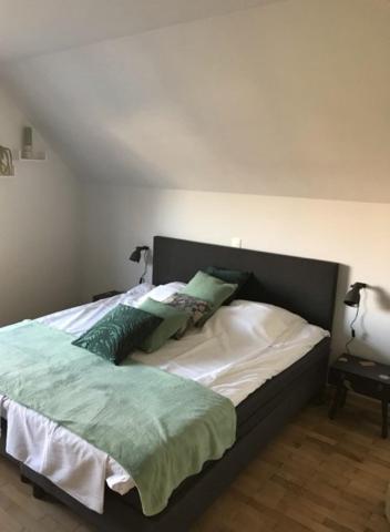 Villa Cecha B&b &Wellness