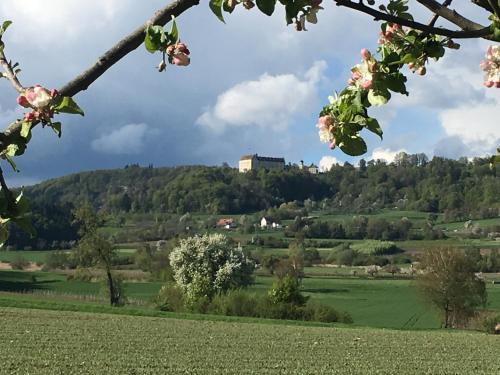 Bed & Breakfast mit Charme- Aux2platanes- Außergewöhnlich schön am Bodensee