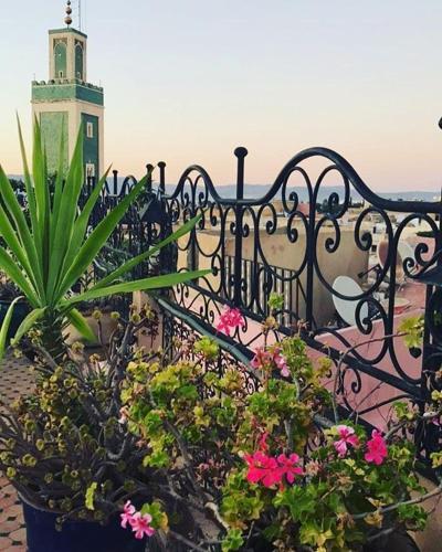 Riad Selma - Meknes