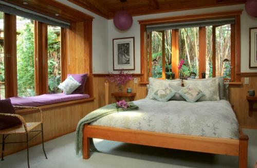 Volcano Rainforest Retreat