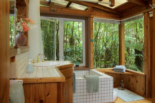 Volcano Rainforest Retreat - 화장실