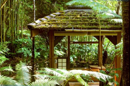 Volcano Rainforest Retreat - 편의 시설/서비스