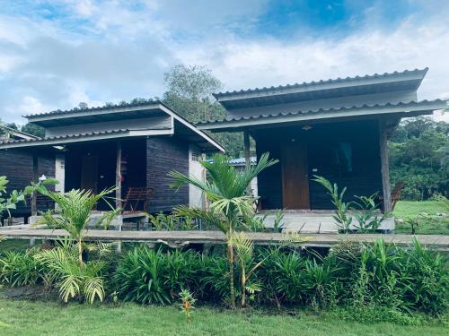 PD Guesthouse in Koh Kood