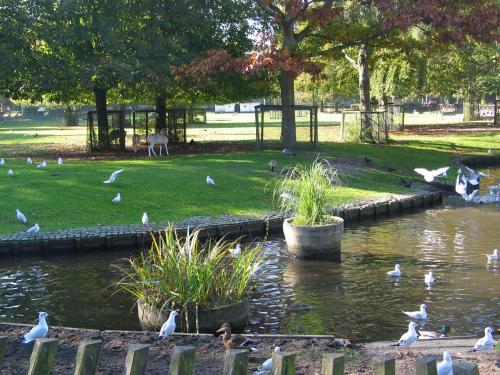 Nearby attraction, De Sloep in Geest