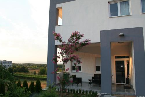 Apartments Paninich - image 7