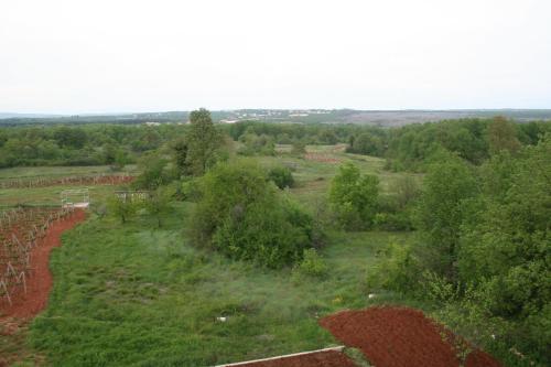 Apartments Paninich - Međugorje