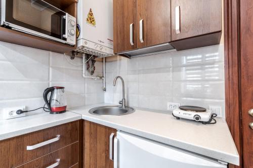 Comfortable Apartment on Franko in مقاطعة ليشاكيفسكي