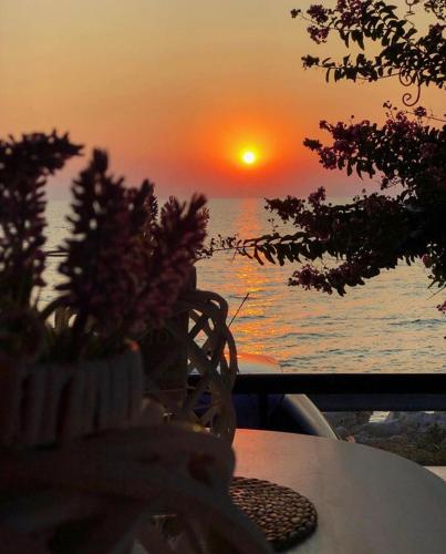 Superior, comfortable seaside home with amazing view, Siviri (zdjęcie 3)