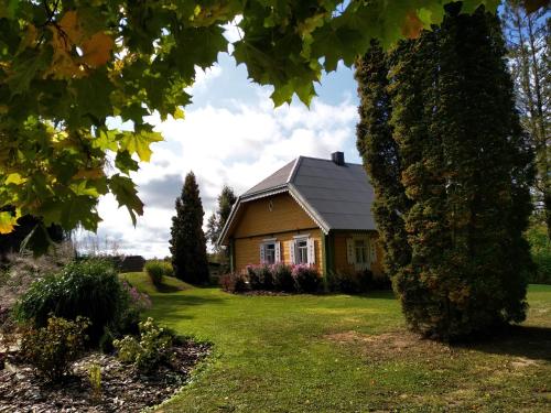 Kačiūniškių vienkiemis - Location saisonnière - Kaciūniškiai