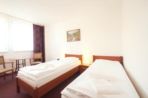 Interhotel Bohemia - main image