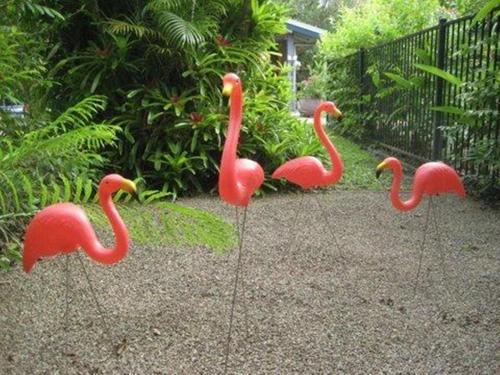 Pink Flamingo Resort Port Douglas