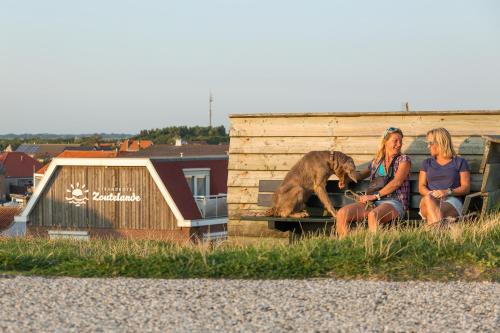 Strandhotel Zoutelande - Seayou Zeeland - image 7