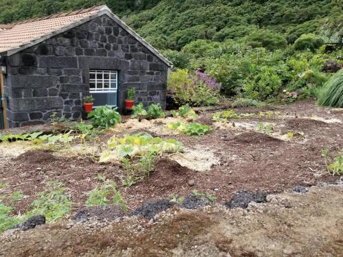  Adega Baia do Canto in Terra Alta