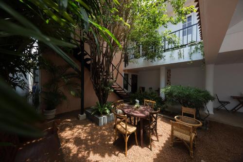 Garden, Srilax in Cinnamon Gardens