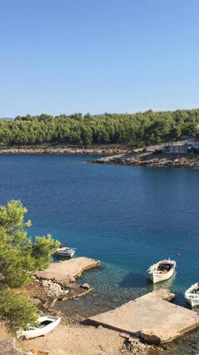  Apartments Antica in Vrboska