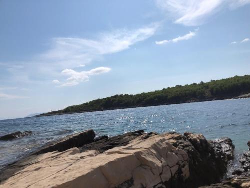  Apartments Antica in Vrboska