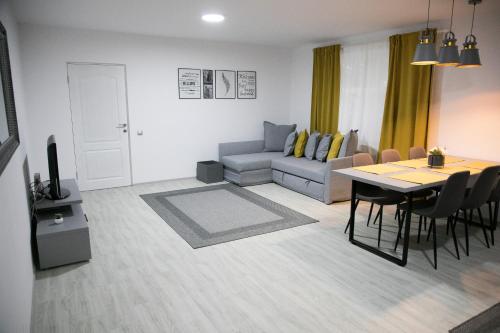 Apartament Toplita - Apartment - Topliţa