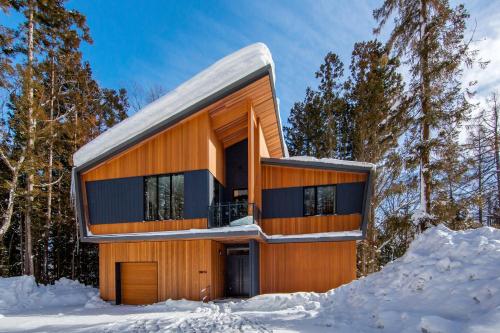 AMO 54 by Hakuba Hotel Group - Chalet - Hakuba 47