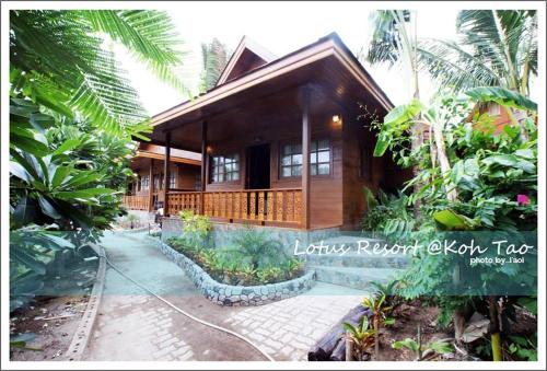 Lotus Resort in Ko Tao