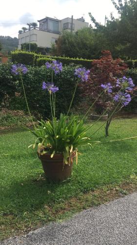  Affittacamere Chez nouse in Massarosa