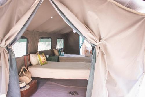 2 twin beds