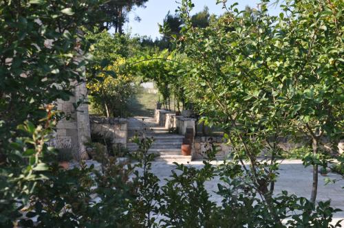 Trulli D'Itria B&B – Martina Franca, OK