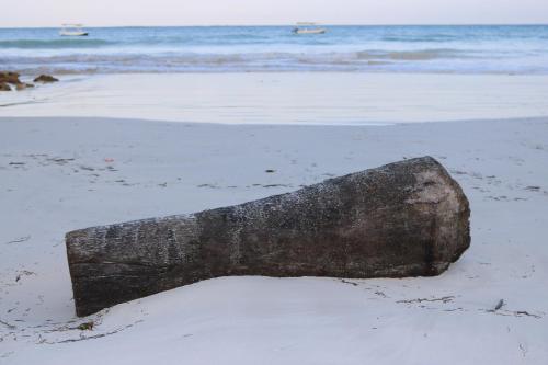 A wonderful Beach property in Diani Beach Kenya.a dream holiday place.
