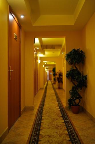 Orange Hotel