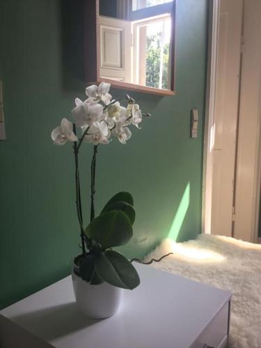 Rotzowlund BnB - image 8