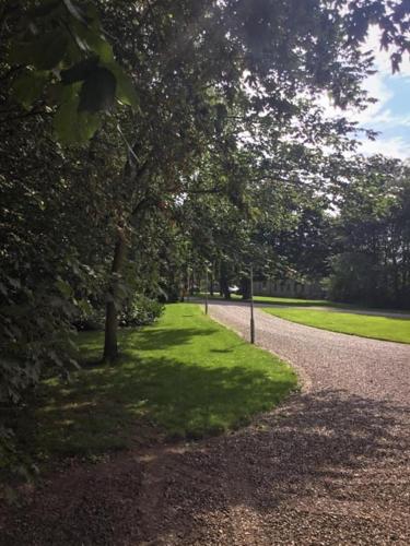 Rotzowlund BnB - image 14