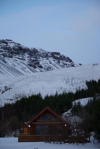 Ásólfsskáli Cottage - image 3