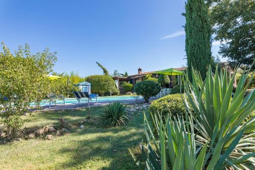 Villa Edera - image 8