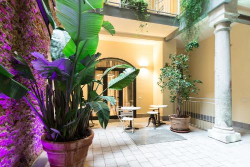 Agave in Citta, Livorno | 2026 Updated Prices, Deals